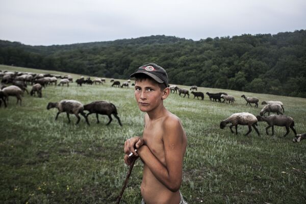 Снимок Young Shepherd молдавского фотографа Ilya Bugaev, вошедший в шорт-лист конкурса 2019 Sony World Photography Awards в категории Youth  - Sputnik Абхазия