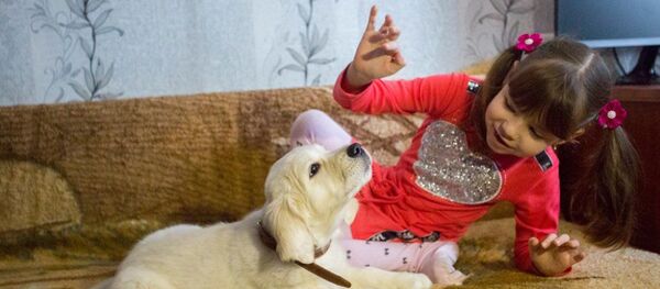 Владимир Путин подарил больной аутизмом девочке из Приморского края щенка золотистого ретривера Владимир Путин подарил больной аутизмом девочке из Приморского края щенка золотистого ретривера - Sputnik Абхазия