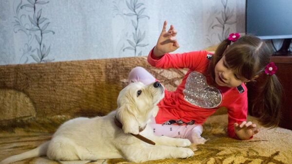 Владимир Путин подарил больной аутизмом девочке из Приморского края щенка золотистого ретривера - Sputnik Абхазия