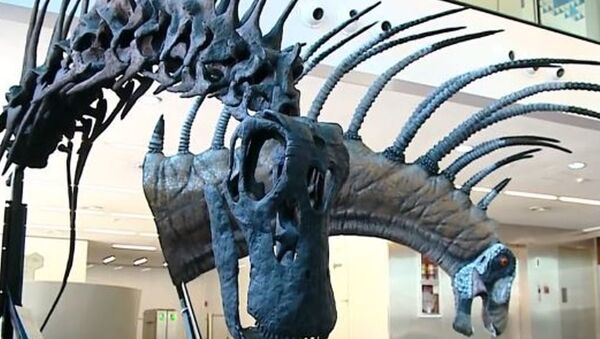 В Аргентине нашли останки прежде неизвестного вида динозавра - Sputnik Абхазия