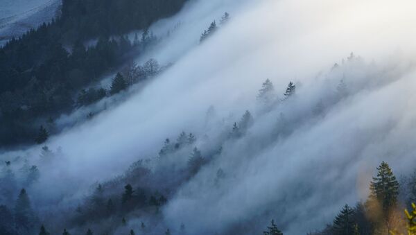Туман в горах - Sputnik Абхазия