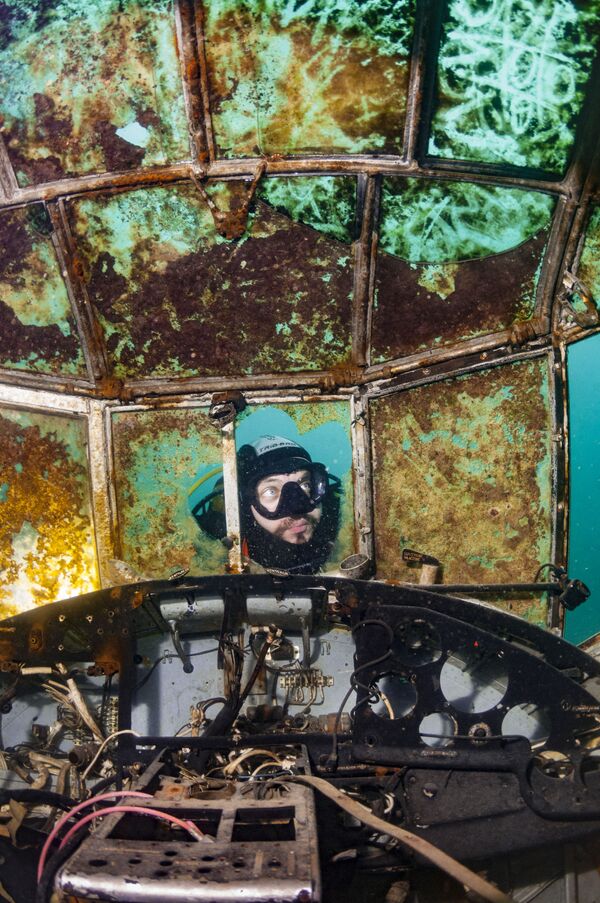 Снимок Window cleaner's nightmare польского фотографа Michal Bazala, отмеченный наградой Highly Commended в категории Up & Coming конкурса Underwater Photographer of the Year 2019 - Sputnik Абхазия