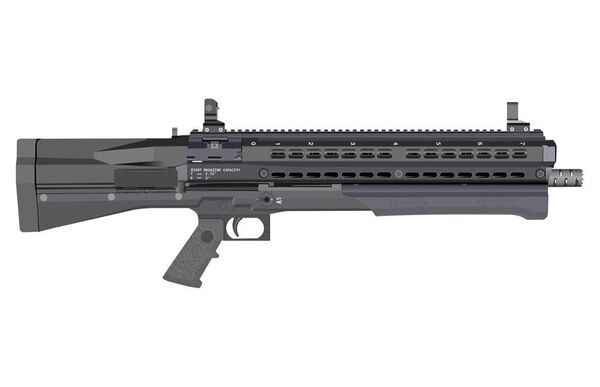 Короли ближнего боя: самые убойные штурмовые дробовики мира - Sputnik Абхазия