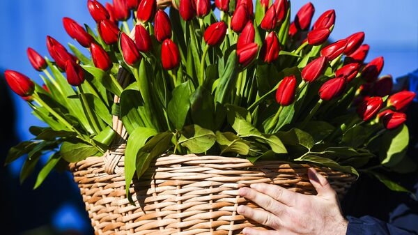 Продажа цветов в Международный женский день - Sputnik Абхазия