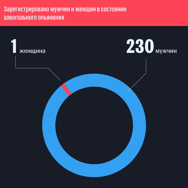 Новый лидер: пьяная дорожная статистика Абхазии за февраль  - Sputnik Абхазия