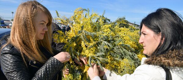 Продажа мимозы - Sputnik Абхазия