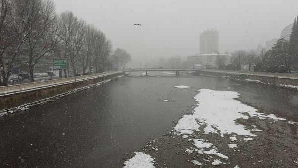 Снегопад в Сочи - Sputnik Абхазия