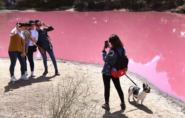 Люди фотографируются у озера, которая которое стало ярко-розовым благодаря высокому уровню соли и жаркой погоде в Мельбурне, Австралия - Sputnik Абхазия