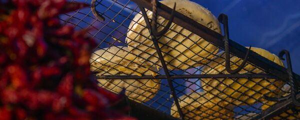 Ашәцқьа - Sputnik Аҧсны