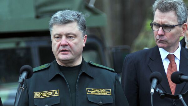 Американские военные инструкторы прибыли на Украину - Sputnik Абхазия