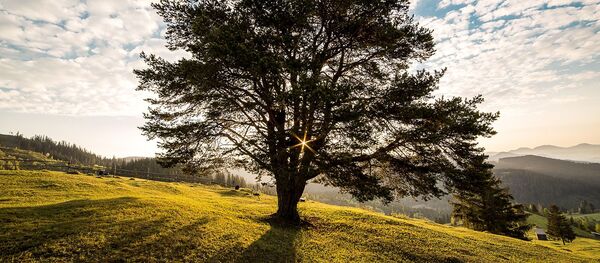 Амра агылара - Sputnik Аҧсны