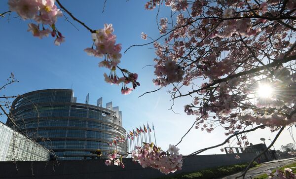 Цветущая вишня у здания Европейсого парламента в Страсбурге, Франция - Sputnik Абхазия