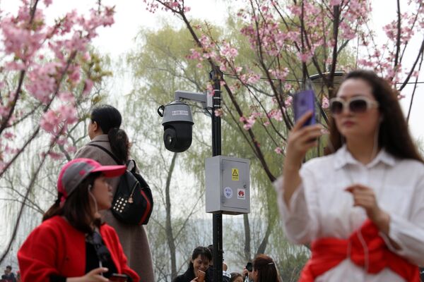 Люди фотографируются с цветущей вишней в Пекине - Sputnik Абхазия