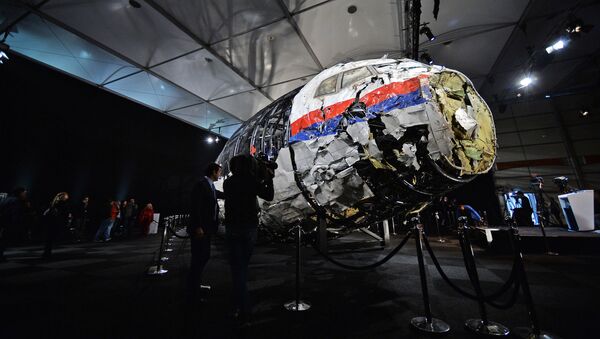 Доклад Совета безопасности Нидерландов по причинам крушения Boeing 777 - Sputnik Абхазия