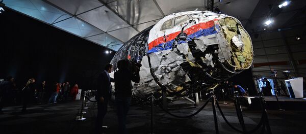 Доклад Совета безопасности Нидерландов по причинам крушения Boeing 777 - Sputnik Абхазия