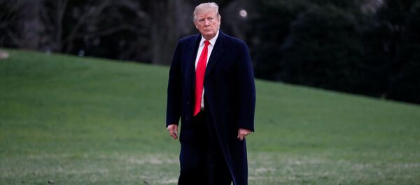 Президент США Дональд Трамп Президент США Дональд Трамп - Sputnik Абхазия