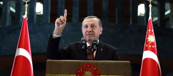 Президент Турции Реджеп Тайип Эрдоган Президент Турции Реджеп Тайип Эрдоган - Sputnik Абхазия