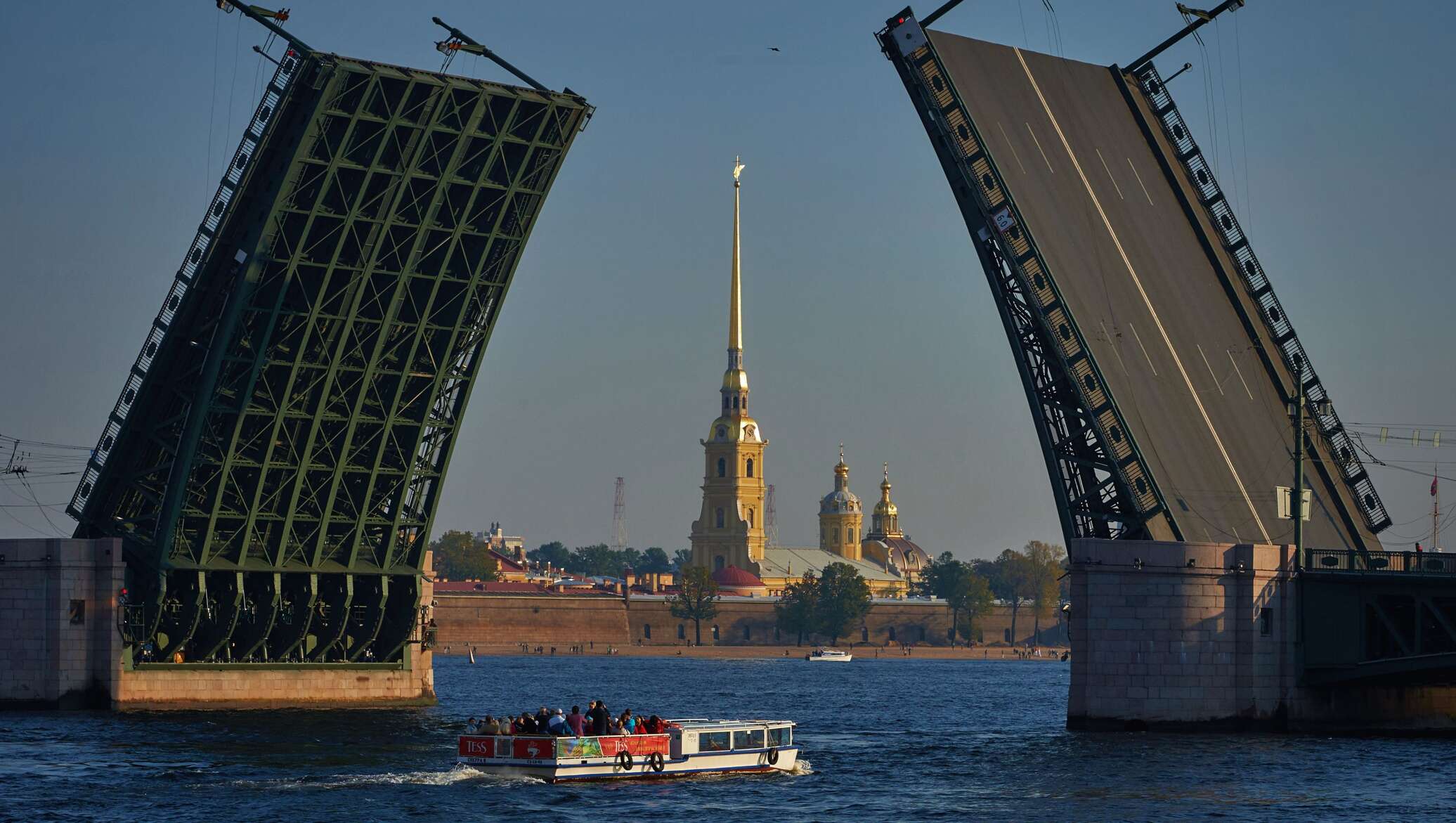 Дай питер. Разводной мост в Питере. Дворцовый мост в Санкт-Петербурге. Дворцовый мост и Петропавловская крепость. Главный разводной мост в Санкт-Петербурге.