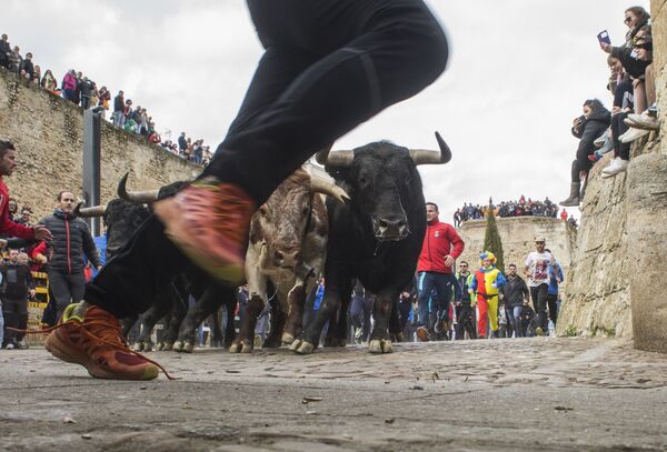 Люди бегут вместе с быками по улицам во время Карнавала дель Торо в Сьюдад-Родриго, Испания - Sputnik Абхазия