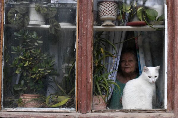 Кошка в окне в Балаклаве - Sputnik Абхазия