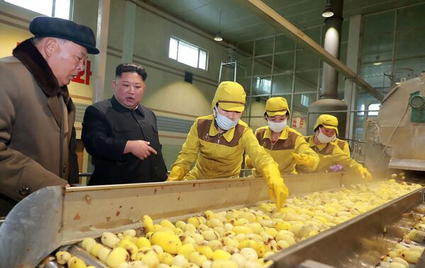 Лидер Северной Кореи Ким Чен Ын на картофельном комбинате в Самджиене - Sputnik Абхазия
