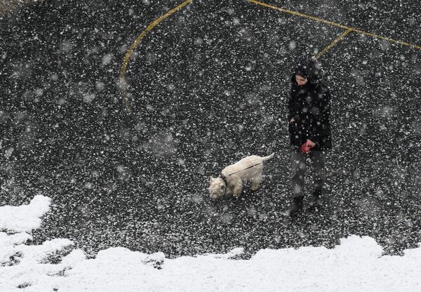 Девушка гуляет с собакой в Мытищах во время мартовского снегопада - Sputnik Абхазия