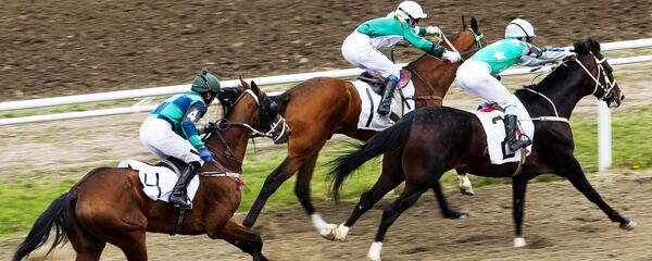 Открытие скакового сезона в Краснодаре Открытие скакового сезона в Краснодаре - Sputnik Абхазия