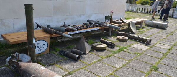 Найти и обезвредить: коллекцию взрывоопасных предметов показали в Сухуме Найти и обезвредить: коллекцию взрывоопасных предметов показали в Сухуме - Sputnik Абхазия