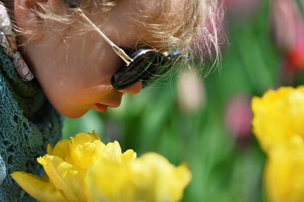 Ребенок в Никитском ботаническом саду в Крыму - Sputnik Абхазия