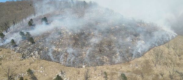 Пожар на горе Мазышха - Sputnik Абхазия