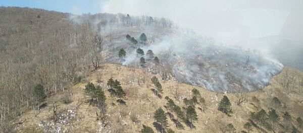 Мамзышьха амца акит - Sputnik Аҧсны