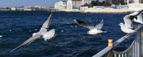 Весна в Крыму Весна в Крыму - Sputnik Аҧсны