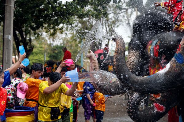 Люди и слоны обливаются водой во время празднования тайского Нового года - Sputnik Абхазия