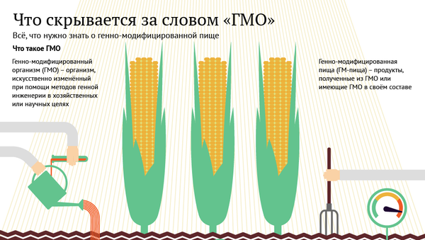 Что такое ГМО - Sputnik Абхазия