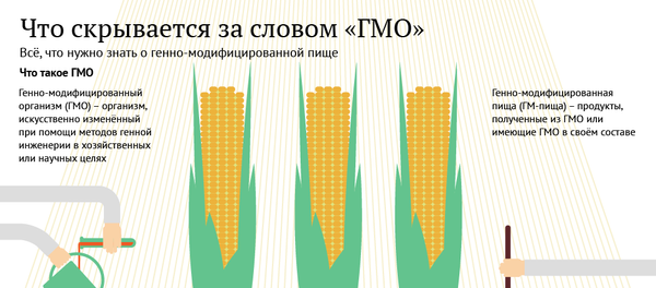 Что такое ГМО - Sputnik Абхазия