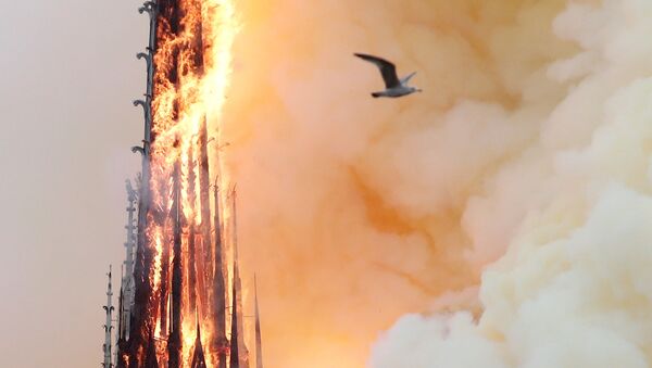 Пламя от пожара в соборе Парижской Богоматери - Sputnik Абхазия