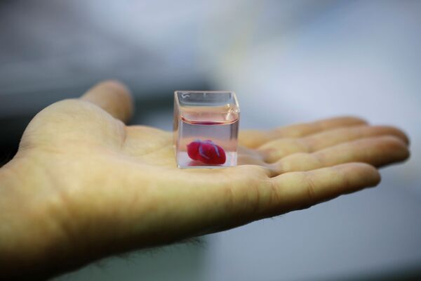 Первое в мире живое сердце, напечатанное на 3D-принтере во время демонстрации в лаборатории, Тель-Авив, Израиль - Sputnik Абхазия
