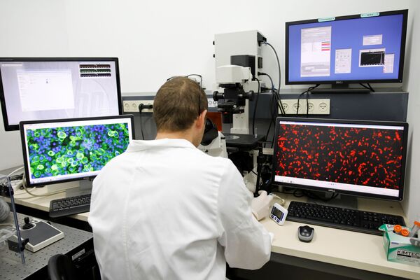 Лаборант смотрит в микроскоп во время демонстрации первого в мире живого сердца, напечатанного на 3D-принтере, Тель-Авив, Израиль - Sputnik Абхазия