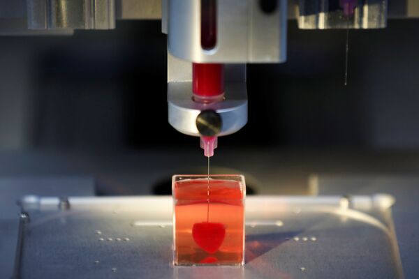 Первое в мире живое сердце, напечатанное на 3D-принтере во время демонстрации в лаборатории, Тель-Авив, Израиль - Sputnik Абхазия