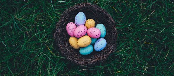 Пасхальные яйца Пасхальные яйца - Sputnik Абхазия