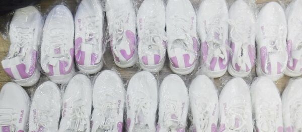 Сочинскими таможенниками изъята коммерческая партия обуви Сочинскими таможенниками изъята коммерческая партия обуви - Sputnik Абхазия