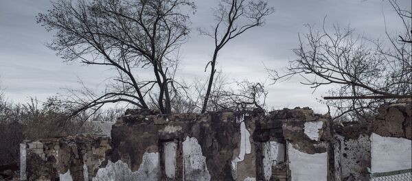 Ситуация в поселках Саханка и Зайцево Донецкой области - Sputnik Абхазия