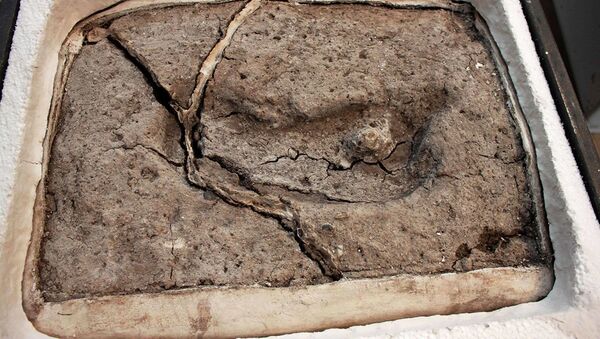 Самый древний человеческий след на американском континенте возрастом около 15,6 тысяч лет, обнаруженный группой ученых из университета Austral в Чили (UACH) - Sputnik Абхазия