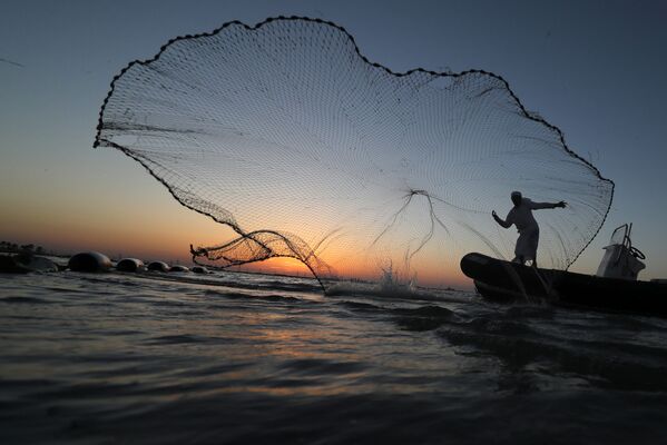 Рыбак бросает сеть недалеко от побережья Абу-Даби, ОАЭ - Sputnik Абхазия