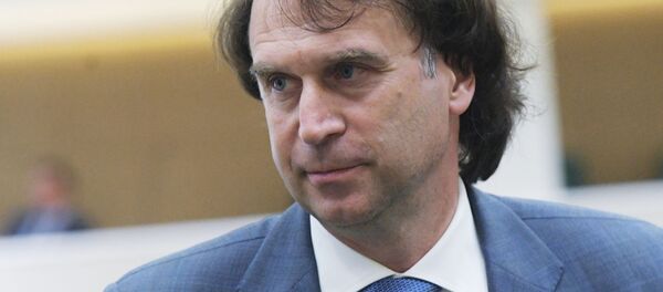 Последнее заседание Совета Федерации РФ весенней сессии - Sputnik Абхазия