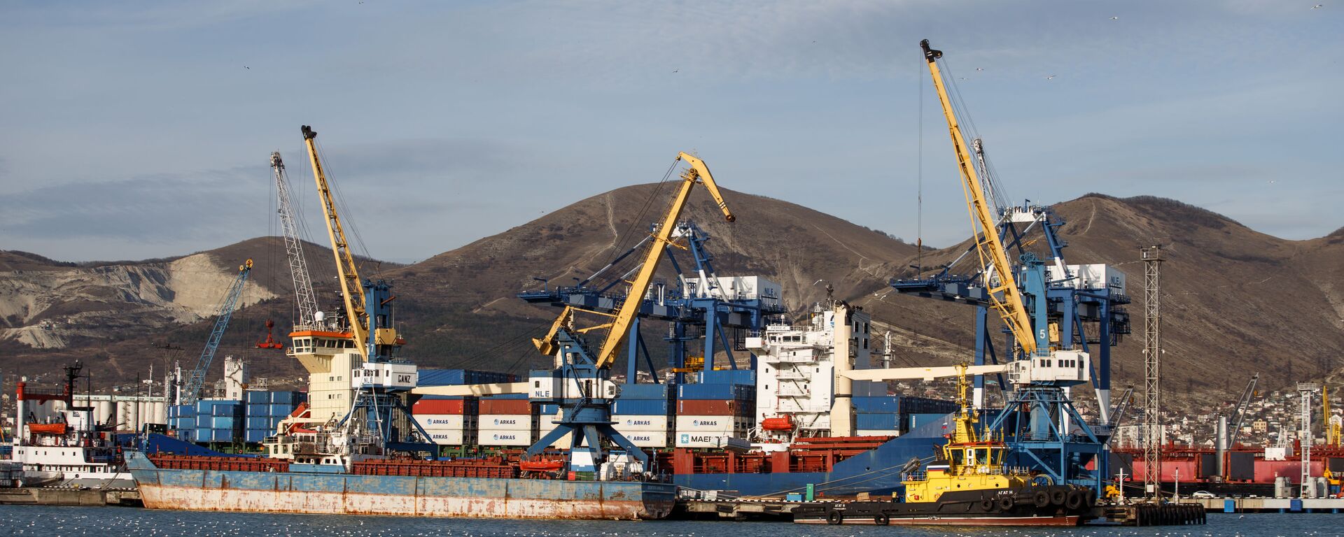 Города России. Новороссийск - Sputnik Абхазия, 1920, 14.11.2025