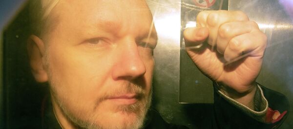 Суд в Лондоне приговорил Ассанжа к 50 неделям заключения Суд в Лондоне приговорил Ассанжа к 50 неделям заключения - Sputnik Абхазия