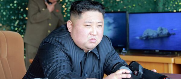 Лидер КНДР Кин Чен Ын наблюдает за запуском ракет, 4 мая 2019 Лидер КНДР Кин Чен Ын наблюдает за запуском ракет, 4 мая 2019 - Sputnik Абхазия
