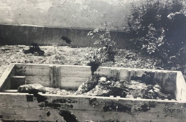 Сомнений, что это Гитлер, не было: история минского патологоанатома  - Sputnik Абхазия