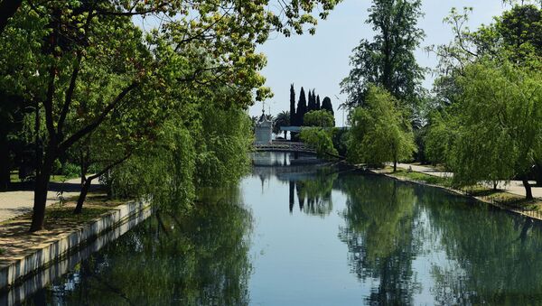 Лебединое озеро  - Sputnik Абхазия